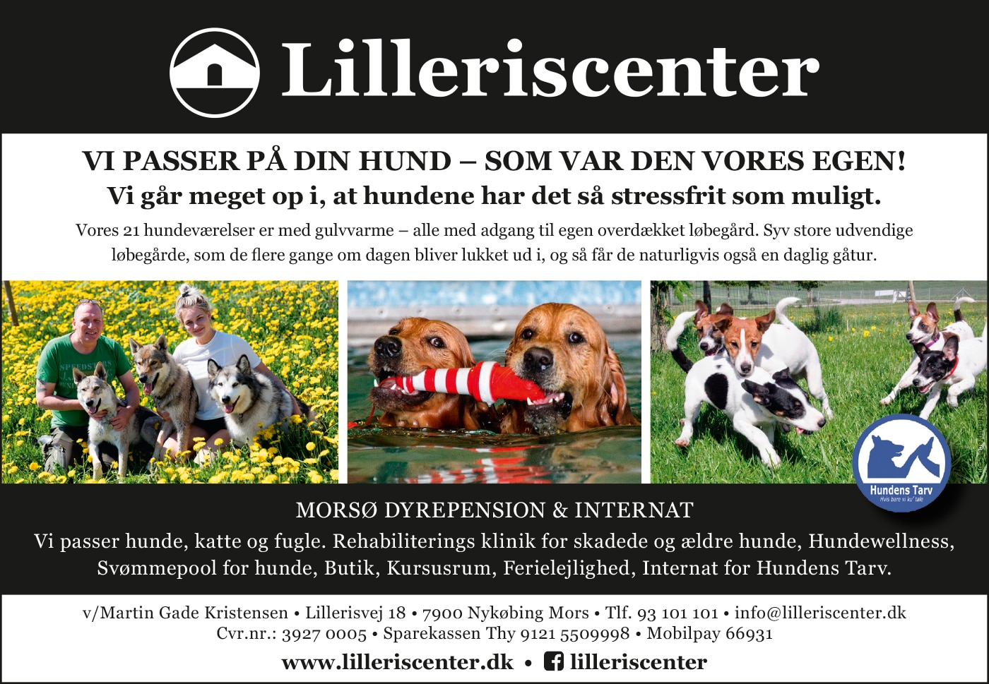 Billig hundepension og hunde svømmehal i Mors Morsø Dyrepension og Internat